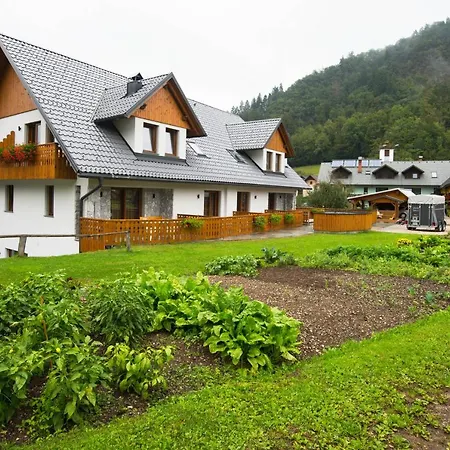 Guest house Pr Anzl 3*