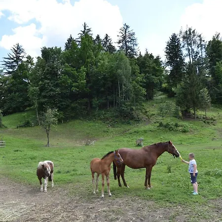 Pr Anzl Penzion Bled