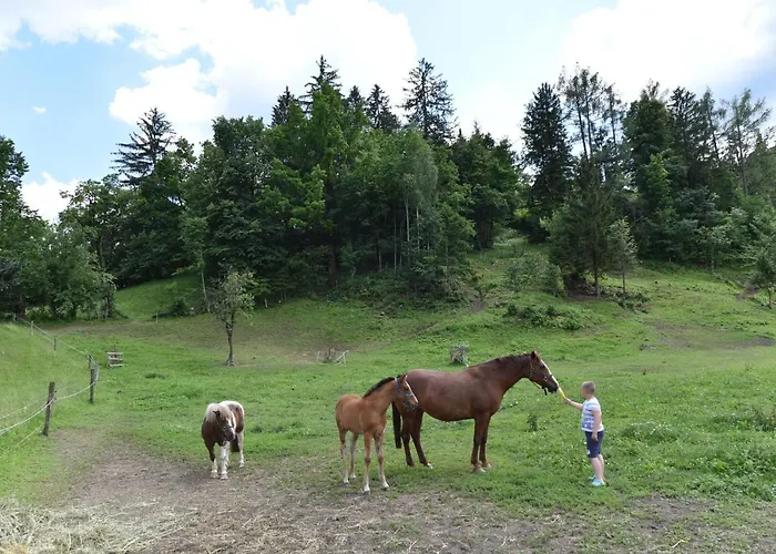 Pr Anzl בית הארחה בלד