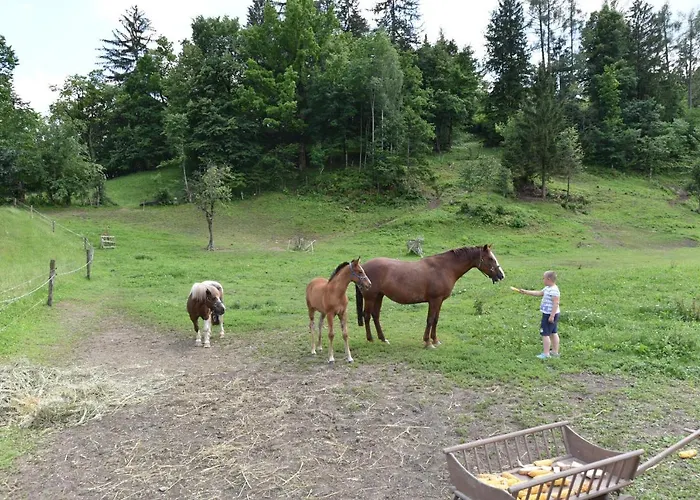 Pr Anzl بيت ضيافة 3*